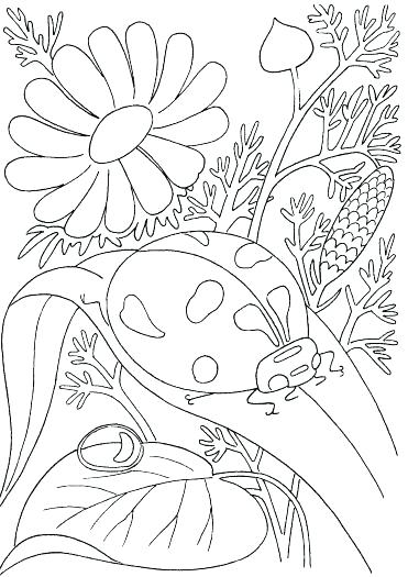 371x525 Coloring Pages Spring Spring Time Coloring Page Fnaf Coloring