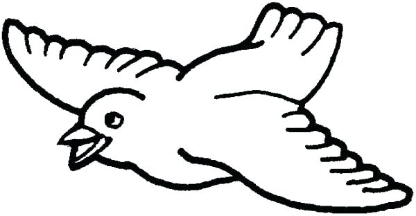 600x312 Birds Coloring Pages Spring Bird Coloring Page Coloring Pictures