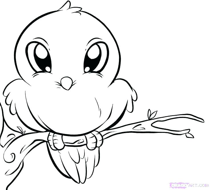 736x665 Cute Bird Coloring Spring Coloring Pages For Preschool Spring Bird