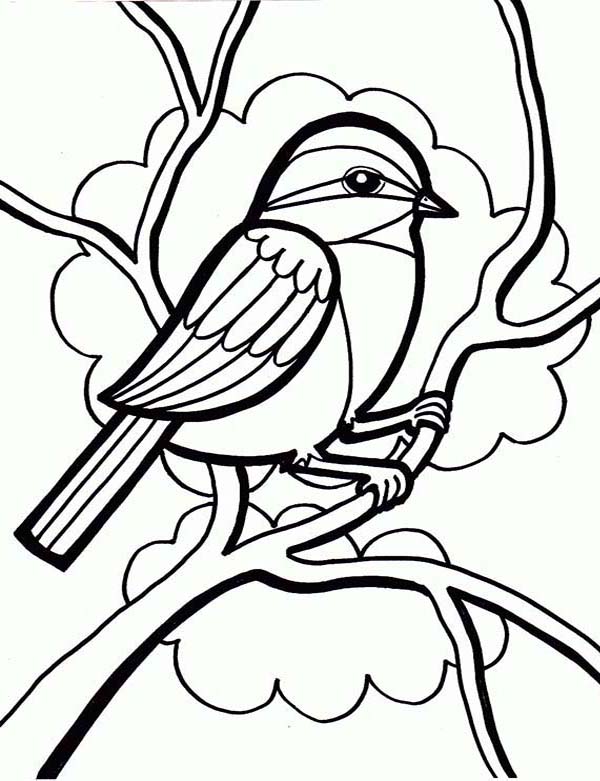 600x781 Drawing A Little Cute Bird Coloring Page Color Luna
