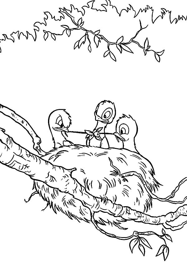 600x841 Baby Bird Eating In Their Bird Nest Coloring Pages Best Place