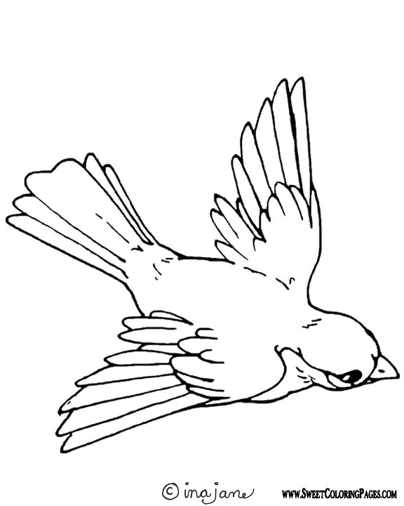 576x720 Bird Coloring Pages
