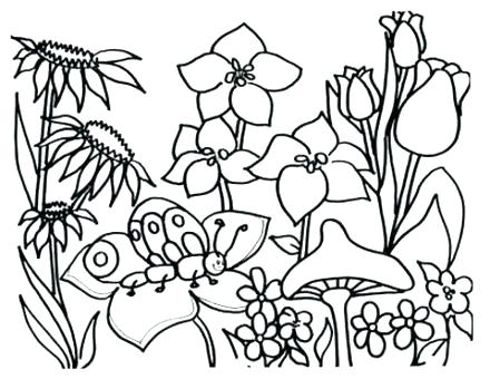 440x340 Free Kids Coloring Pages Spring Break Coloring Sheets Spring