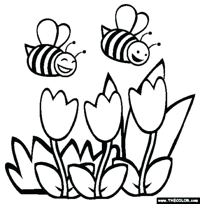 640x653 Spring Break Coloring Pages Spring Break Coloring Pages Spring