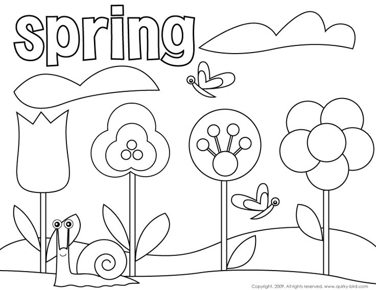 736x568 Free Spring Coloring Pages Free Spring Coloring Pages Spring