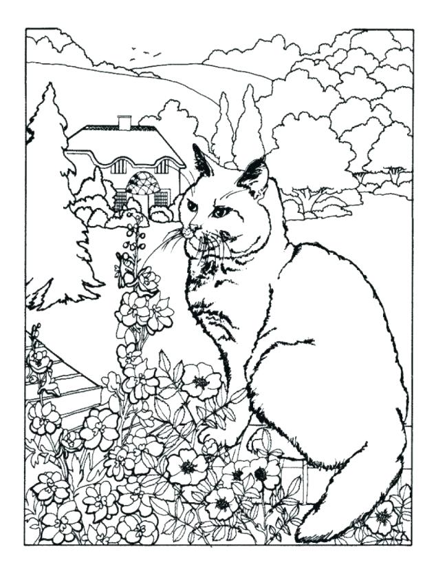618x823 Spring Coloring Sheets Free Printable
