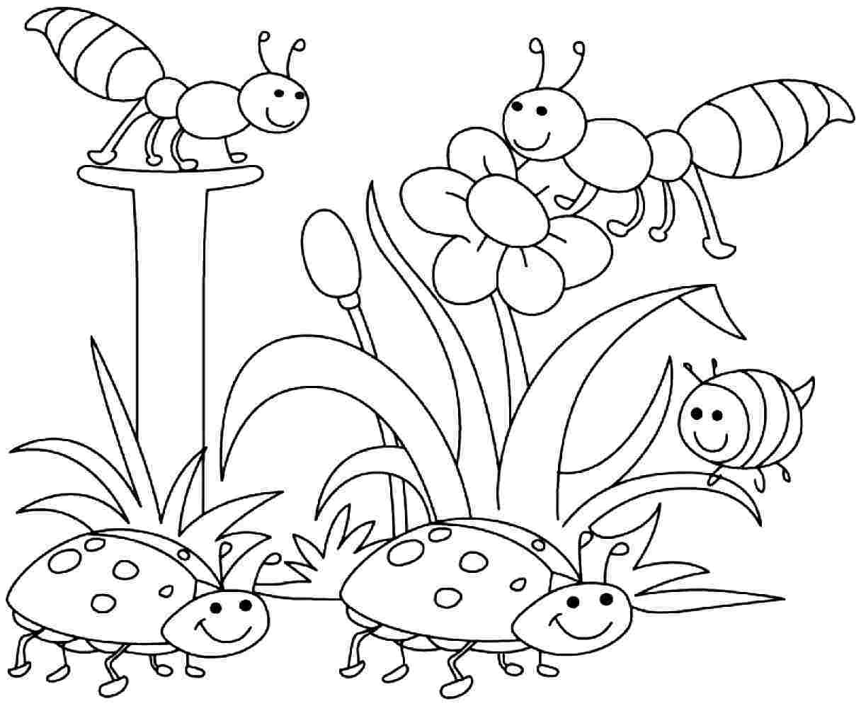 1216x997 Fascinating Printable Spring Coloring Pages Kindergarten Many