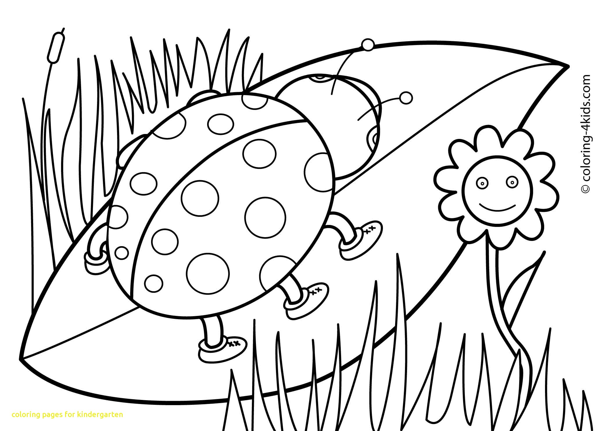 2079x1483 Coloring Pages For Kindergarten With Printable Spring Coloring