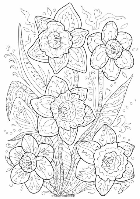 460x650 Daffodil Doodle Colouring Page