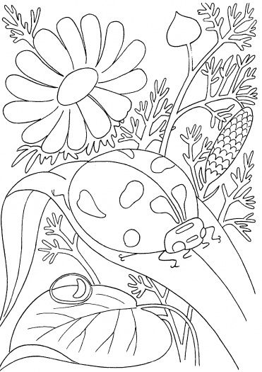 371x525 Wonderful Design Spring Coloring Pages Kids Page