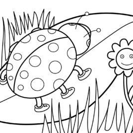 268x268 Spring Coloring Pages For Preschoolers Give The Best Coloring
