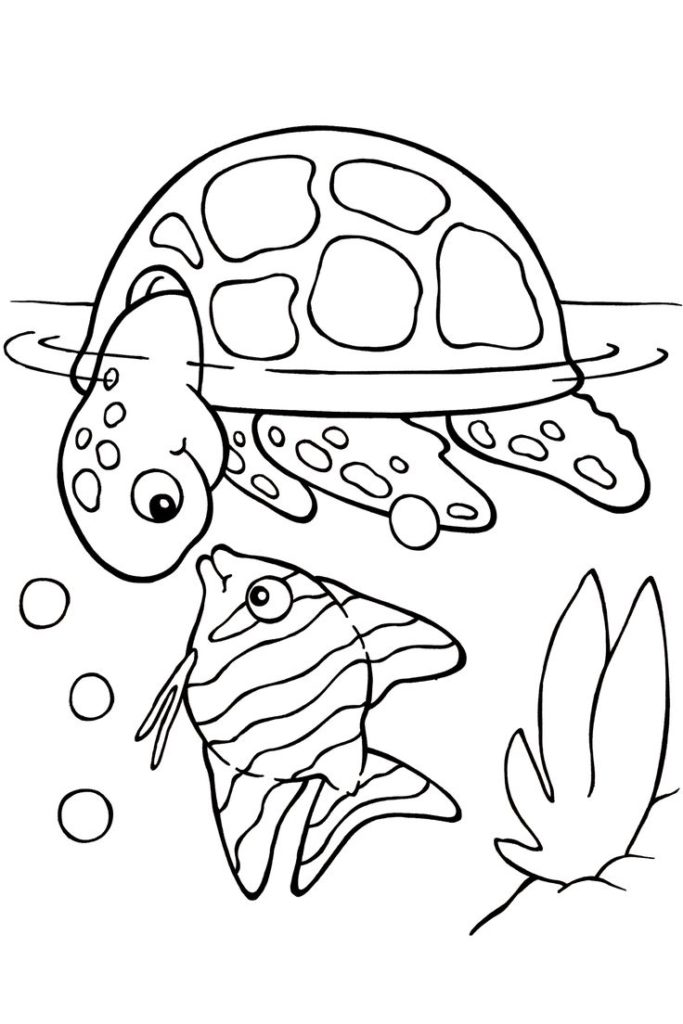 683x1024 Coloring Pages The Art Of Seeing Turtles Coloring Pages