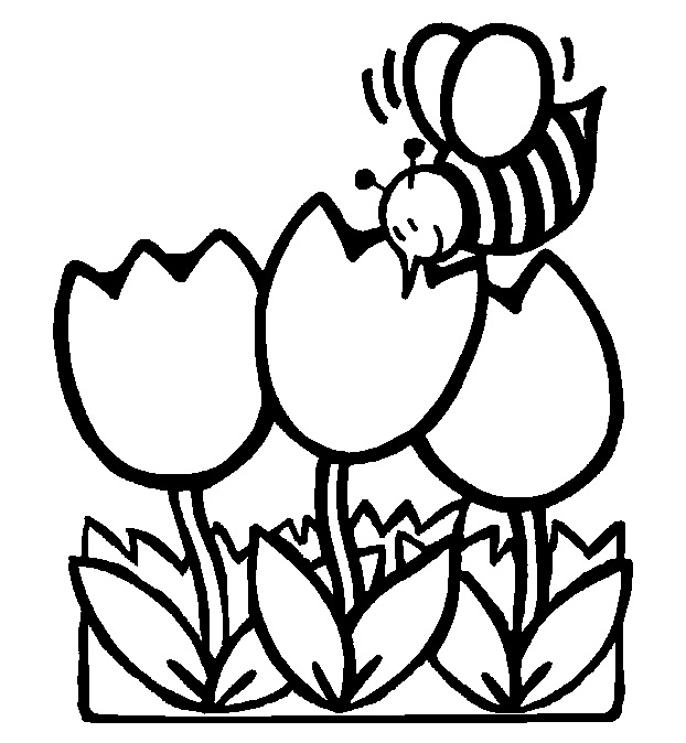 Spring Coloring Pages To Print