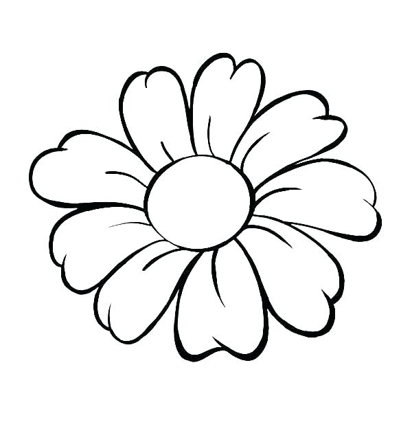 Spring Flower Coloring Pages