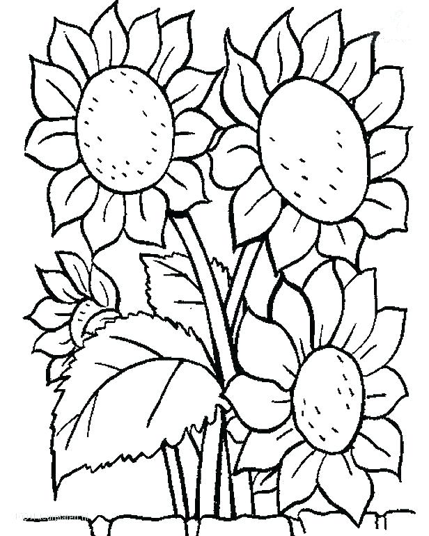 616x770 Flowers Coloring Page Best Flower Coloring Pages Ideas On Flower