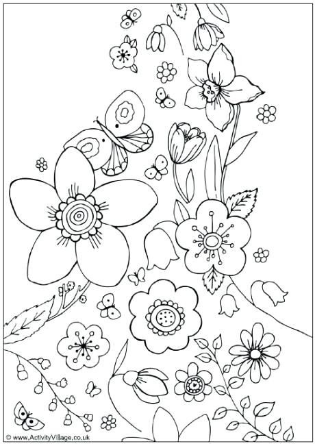 460x651 Spring Flower Coloring Pictures Spring Flowers Colouring Page