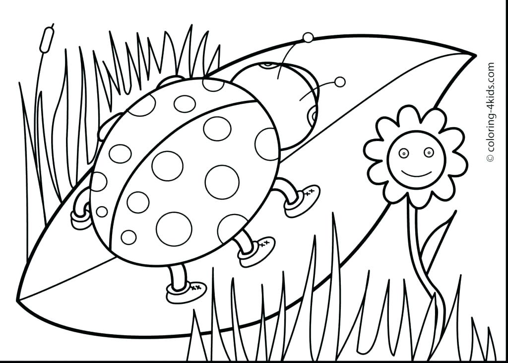 1024x731 Spring Flowers Coloring Pages Printable Spring Flowers Coloring