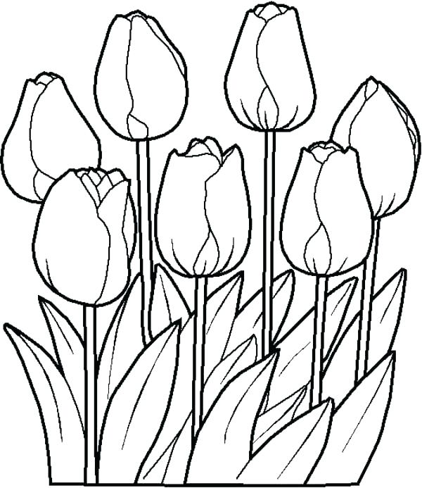 600x693 Cute Flower Coloring Pages Coloring Pages New Printable Spring