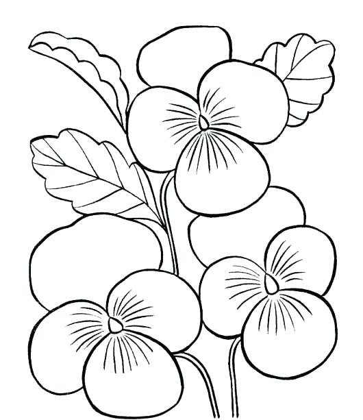 530x613 Cute Flower Coloring Pages Coloring Spring Flowers Flowers