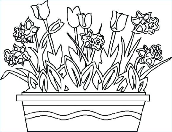 580x446 Flowers Coloring Pages Printable Spring Flowers Coloring Pages
