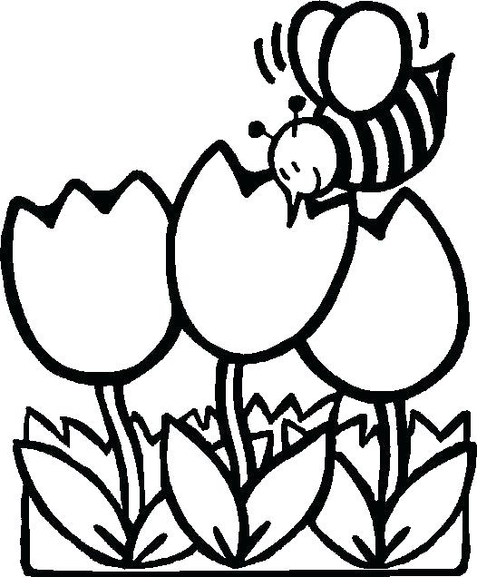 526x636 Photos Spring Flower Coloring Pages Printable,
