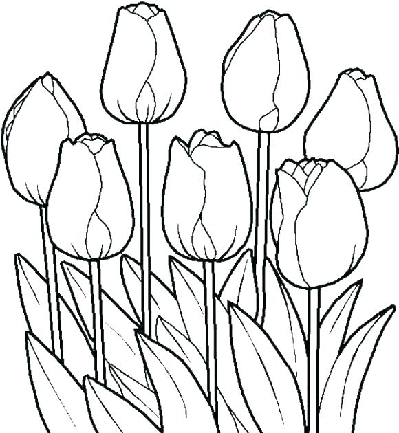 580x630 Coloring Page Of Flower Spring Flowers Coloring Pages Flowers