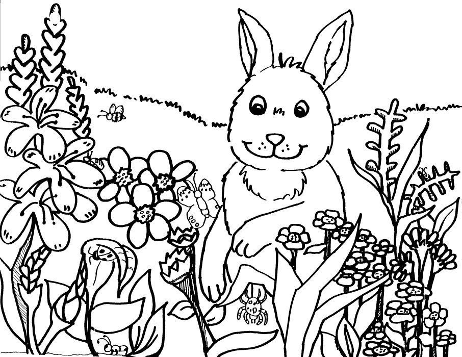 906x700 Spring Coloring Pages 1