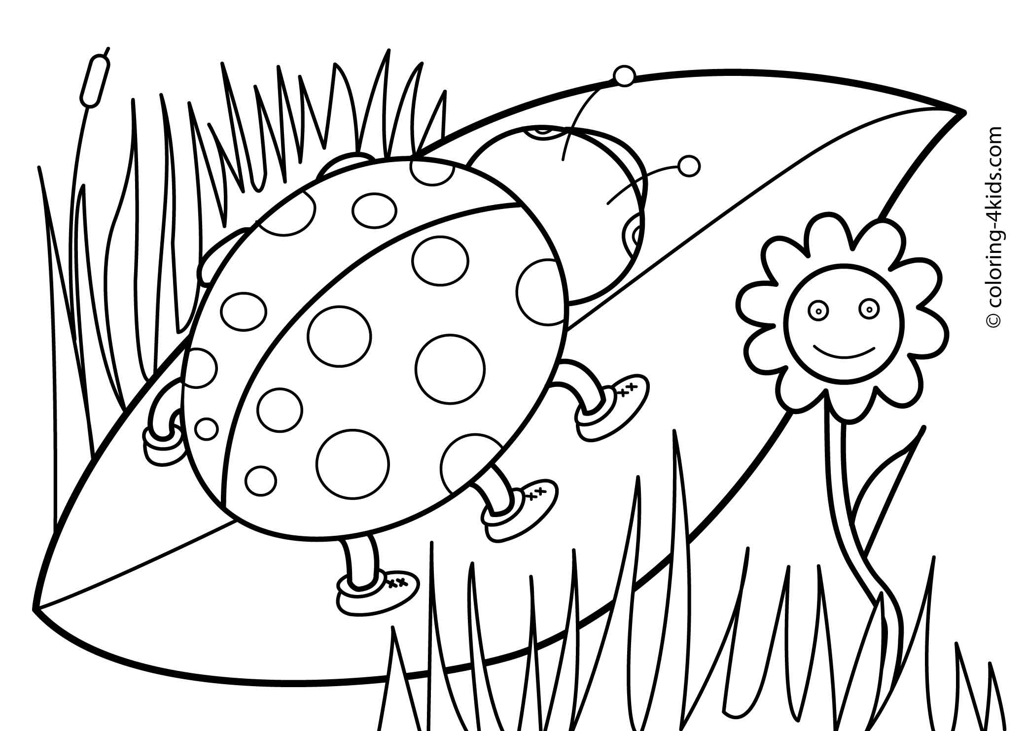 2079x1483 Brilliant Ideas Of Spring Rain Coloring Pages For Woman