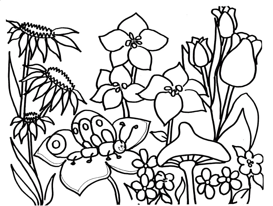 906x683 Spring Season