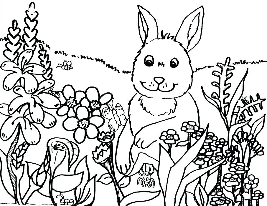 906x700 Spring Themed Coloring Pages Spring Themed Coloring Pages Fun