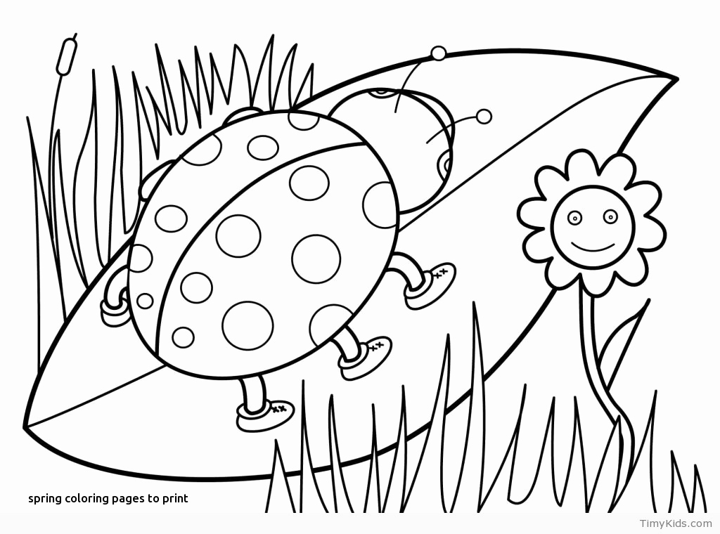 1024x760 Coloring Pages Of Spring Trees Pictures Pear Tree Coloring Pages