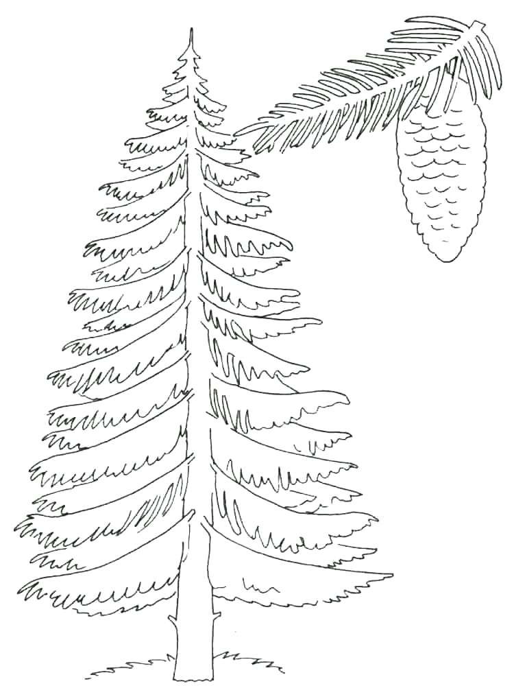 750x1000 Tree Coloring Pages Spring Tree Coloring Pages Printable Tree