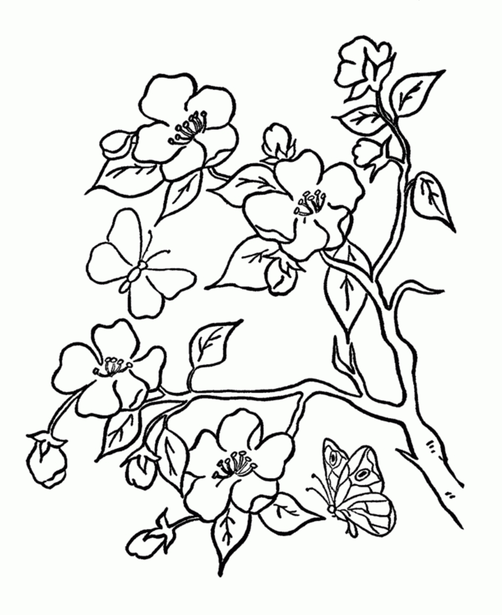 1024x1254 Awesome Spring Flower Coloring Pages Design Printable Coloring Sheet