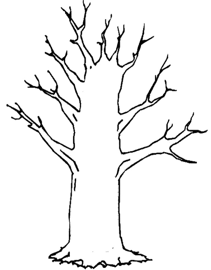 674x863 Bare Tree Coloring Page Clip Art Library