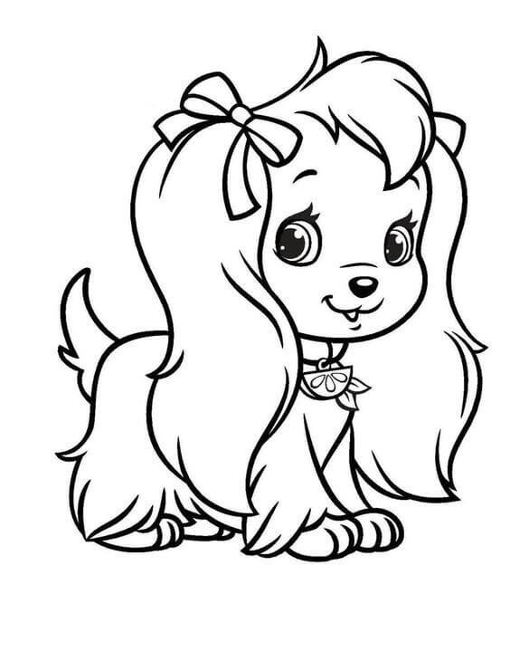 Springer Spaniel Coloring Pages