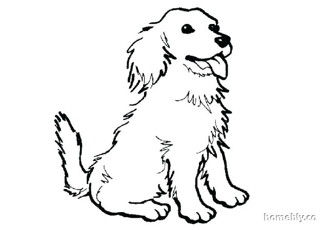 630x450 Spaniel Coloring Pages Spaniel Coloring Page Spaniel Coloring