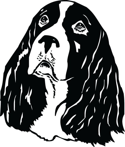 510x600 Springer Spaniel Clipart Brown White Many Interesting Cliparts