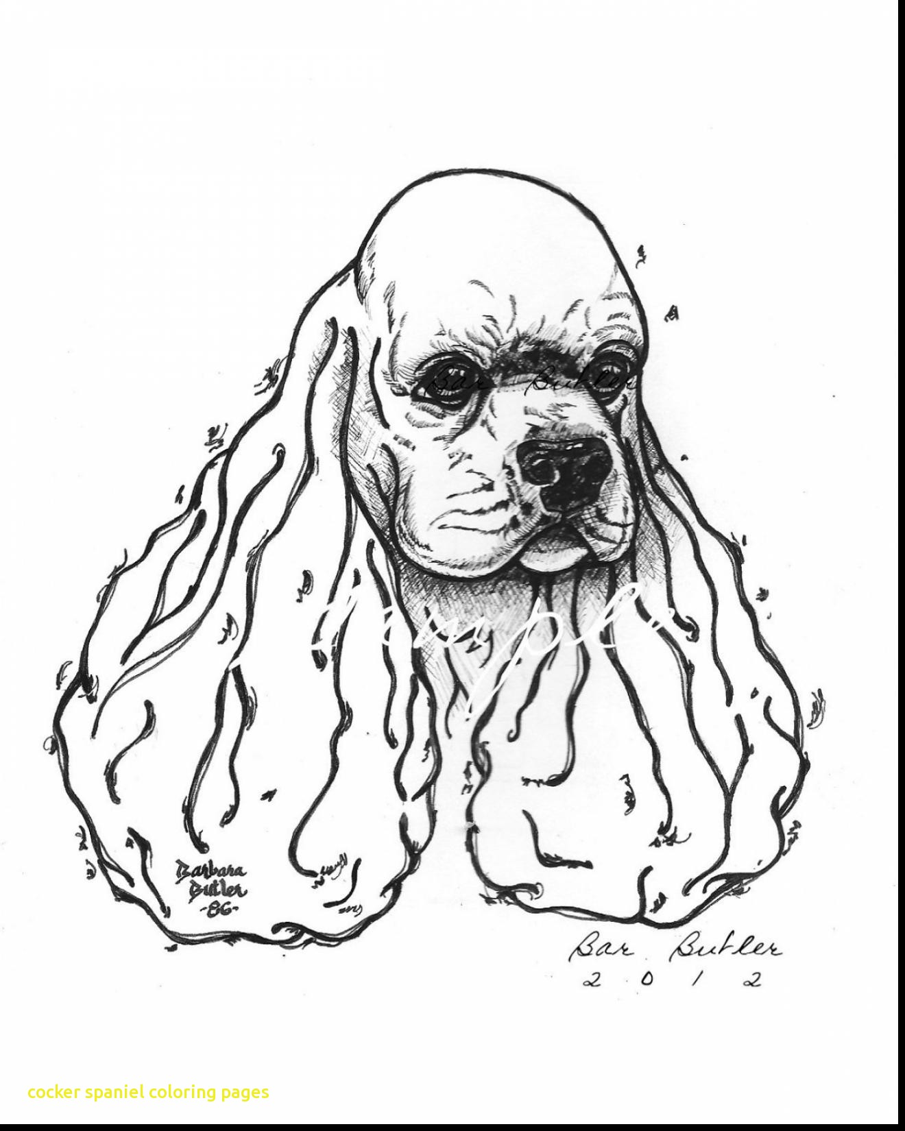 1320x1650 Cocker Spaniel Coloring Pages With Stunning Cocker Spaniel