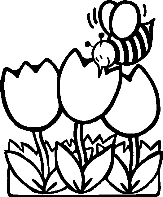 526x636 Spring Flowers Coloring Pages Alluring Spring Flowers Coloring
