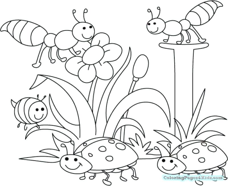 800x654 Free Cute Spring Coloring Pages Baby Chick For Kids Fuhrer Von