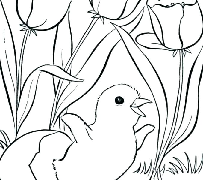 678x600 Fnaf Coloring Pages Springtrap Spring For Kids Printable Fo