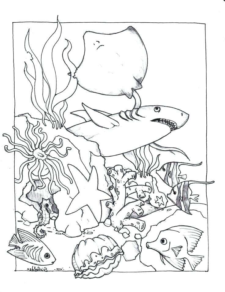 736x954 Spy Coloring Pages Totally Spies Coloring Pages I Spy Coloring