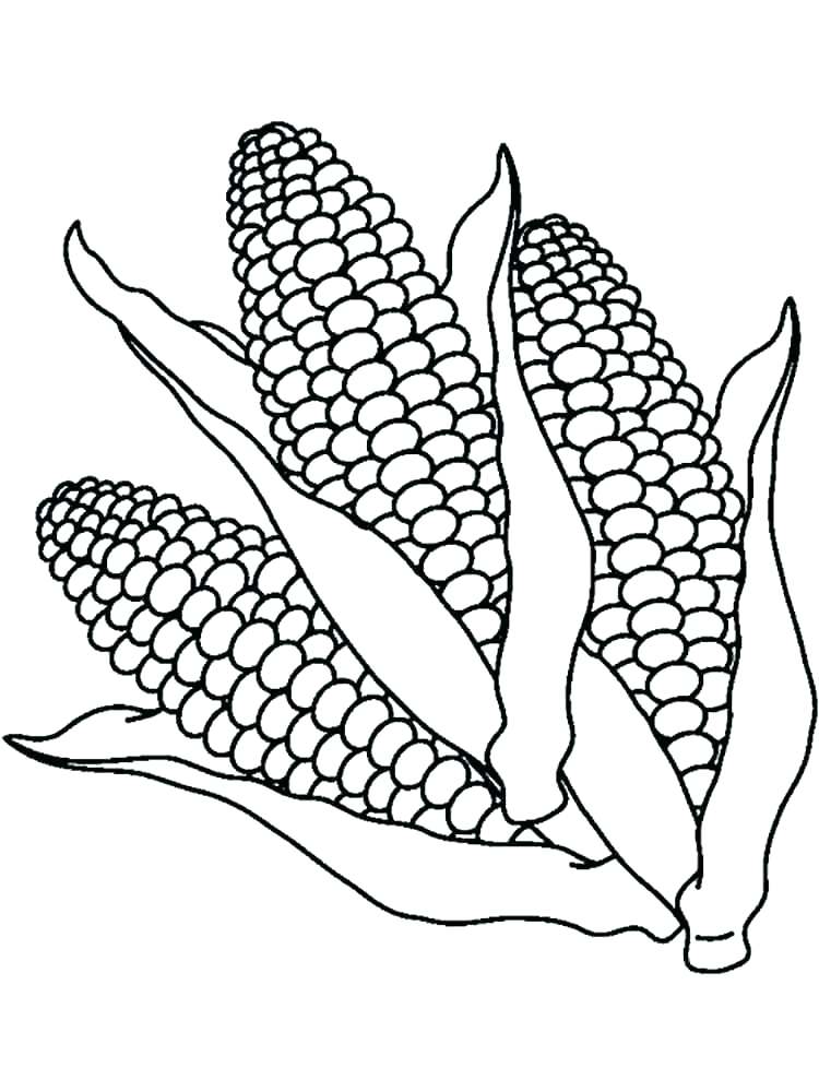750x1000 Squash Coloring Page Corn Coloring Sheets Squash Coloring Page