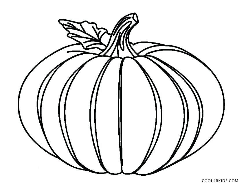 850x661 Squash Coloring Page Free Printable Pumpkin Coloring Pages