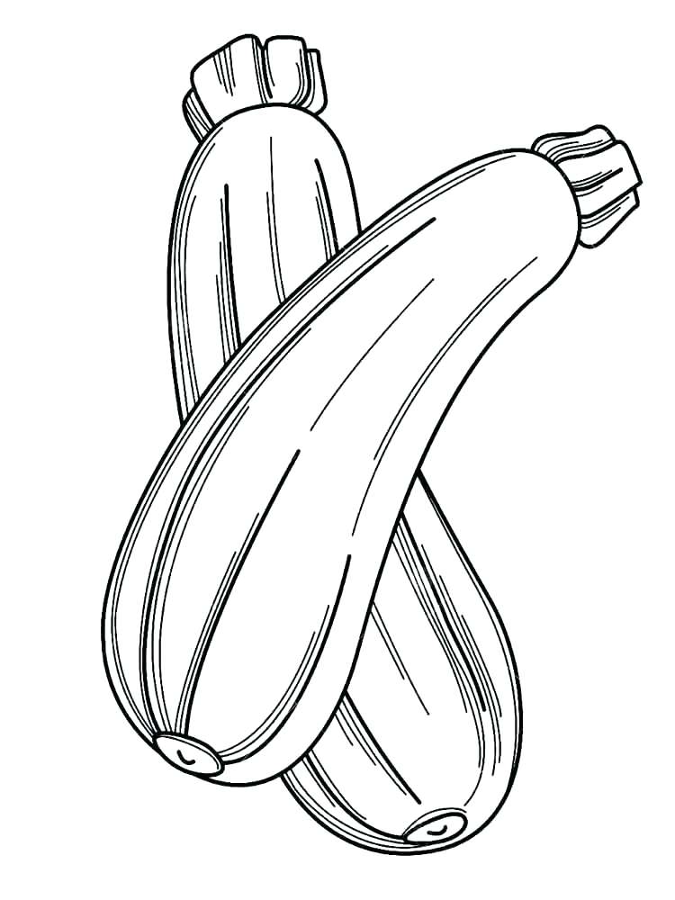 750x1000 Squash Coloring Page Squash Coloring Page Vegetables Squash