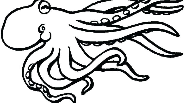 770x430 Ninja Turtles Coloring Pages Cute Turtle Coloring Pages Squid