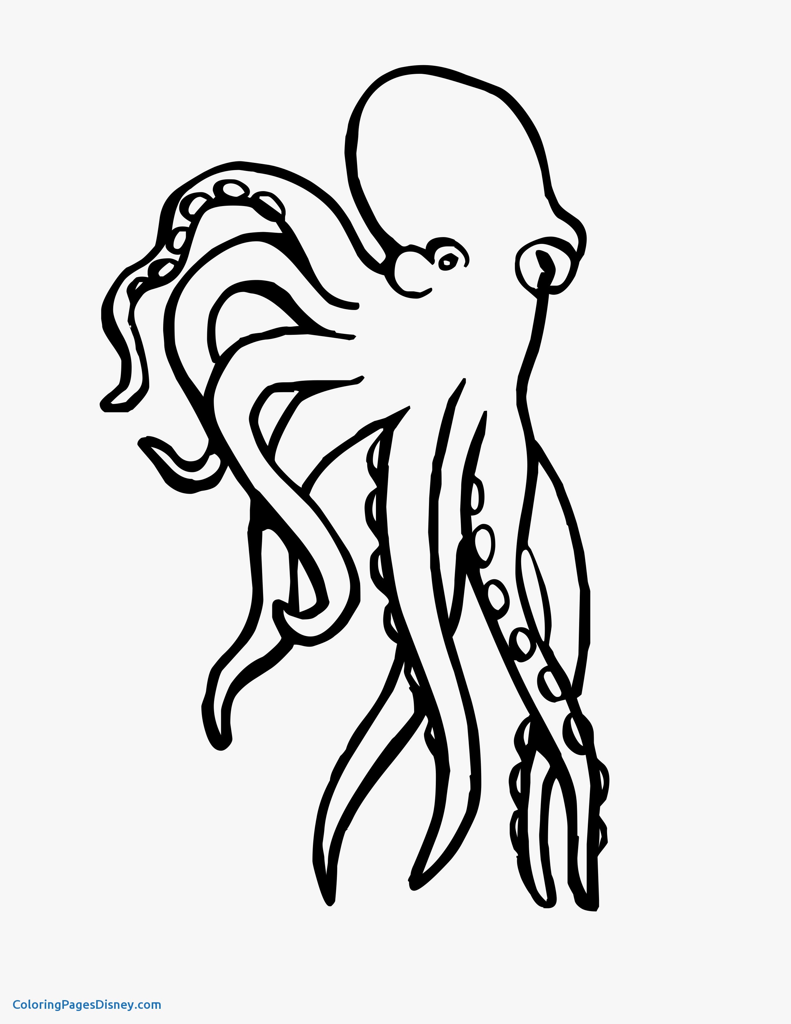 2550x3300 Squid Coloring Pages Lovely Coloring Pages To And Print For Free