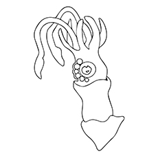 230x230 Top 10 Free Printable Squid Coloring Pages Online