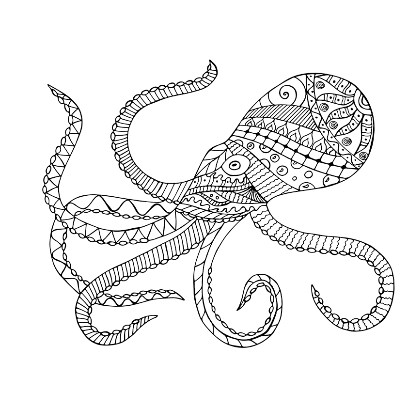 842x842 Giant Squid Coloring Pages Giant Squid Free Coloring Page Adults