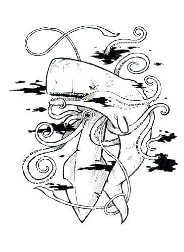 365x500 Giant Squid Coloring Pages Medium Size Of Squid Coloring Pages